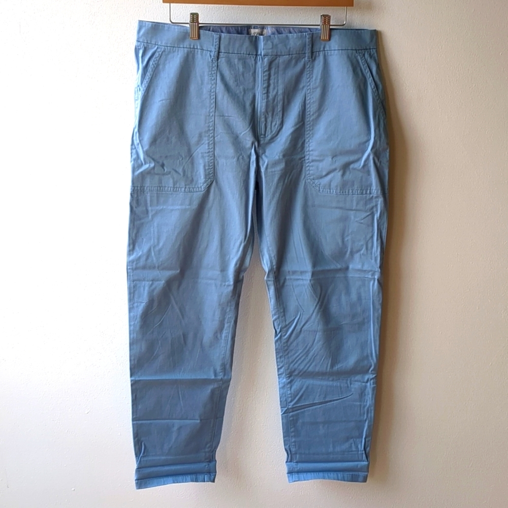 JCrew Blue Pants